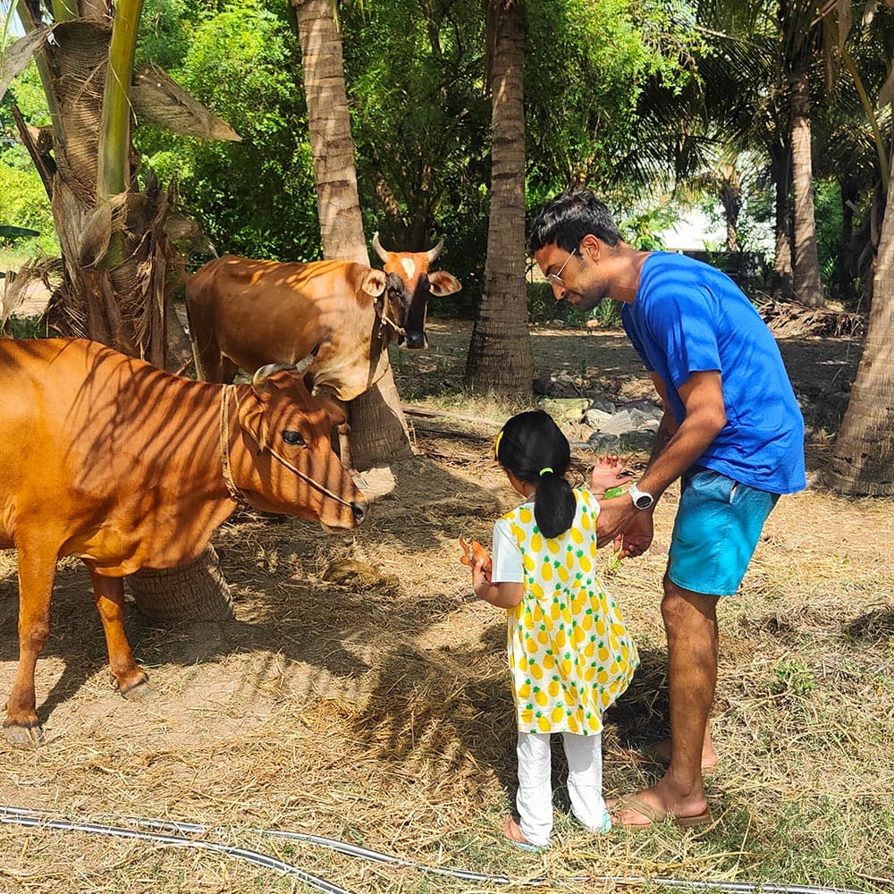 Kids_with-cow-on vaksana farm