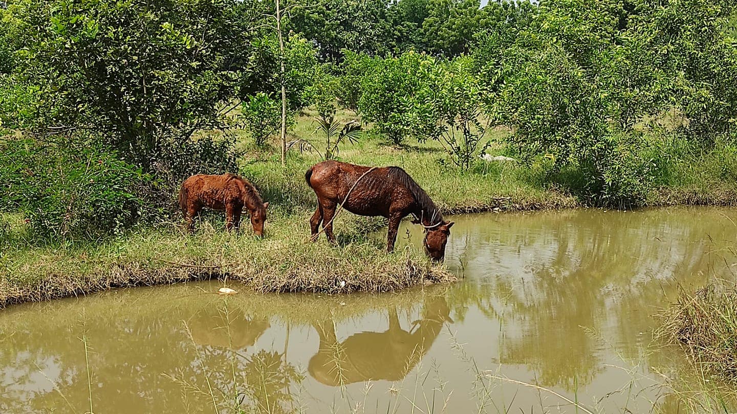 126961658_3807781035921298_1006416333465501461_n