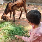 Kids_0037_IMG20230517095346_01