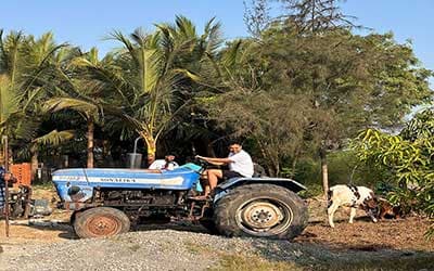 Drive-a-Tractor-at-vaksana-farm