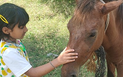 A Break from Screens