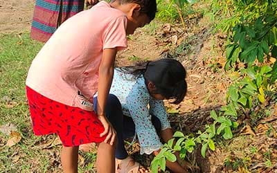 Plant-a-Sapling-at-vaksana