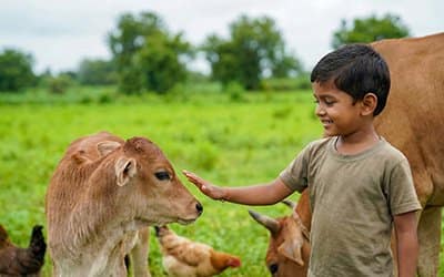 Safety & Kindness Around Animals.jpg