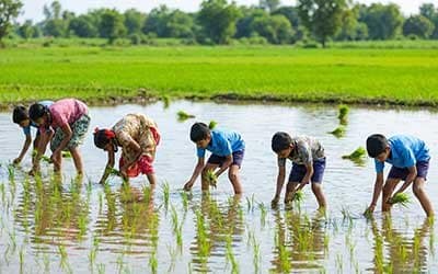 Young-Farmer-Workshop
