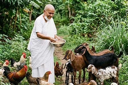 Jain-Guests-at-vaksana-farm-stay