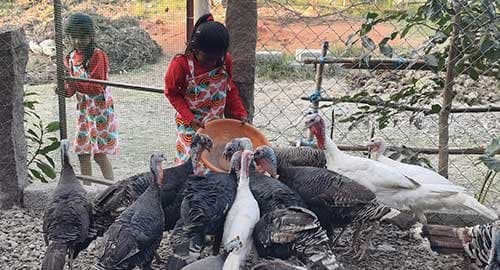 Bird-watching-and-insect-discovery