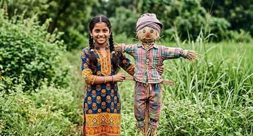 Building a Scarecrow