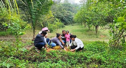 Seed-planting,-watering,-and-harvesting-activities