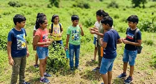 Team-building and coordination activities