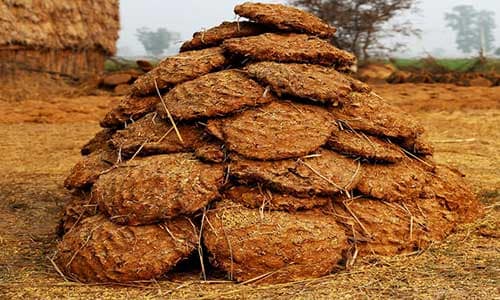 Cow-Dung-Art-&-Biofuel-Making