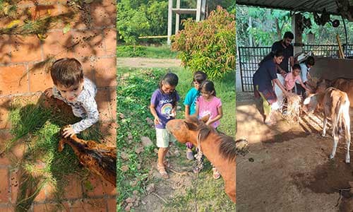 Feeding-the-Farm-Animals