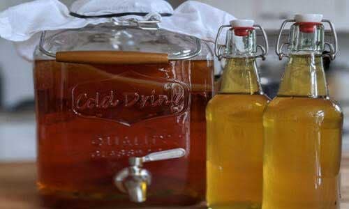 Making-Kombucha,-Kefir,-Tapache