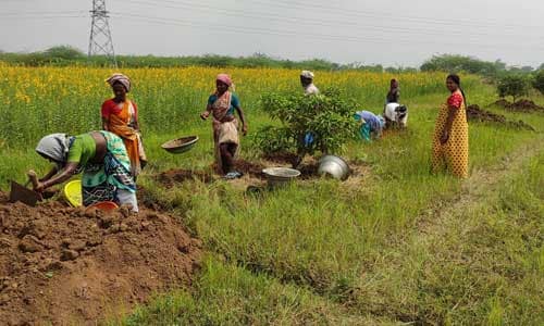 Advanced-Organic-Farming-Techniques