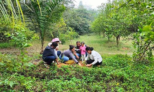 Cultivating-the-Habit-of-Home-Gardening