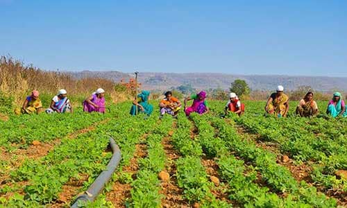 Eco-Relay-Races-Promoting-Teamwork
