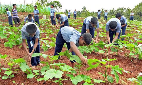 High-Higher-Secondary-at-vaksana-farms (1)