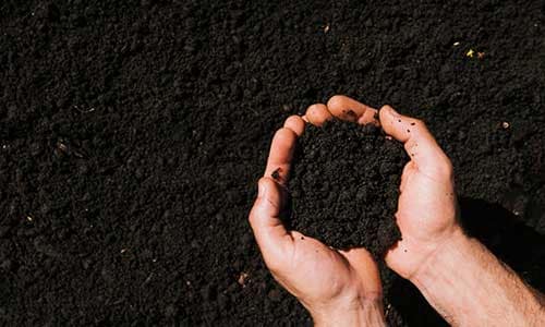 Making-Natural-Fertilizers