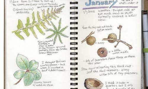 Nature-Journaling-for-Reflection-and-Creativity