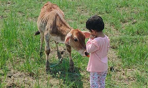 Primary-Schools-vaksana-farms