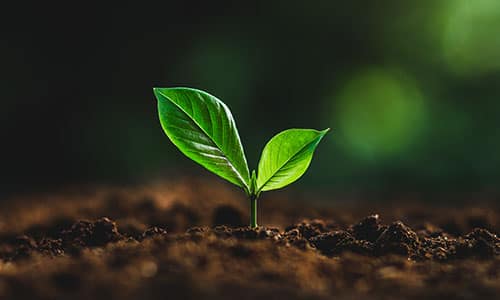 Small-Eco-Project-Construction