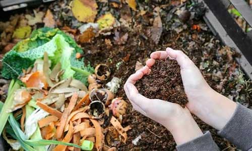 Waste-to-Compost-Challenge