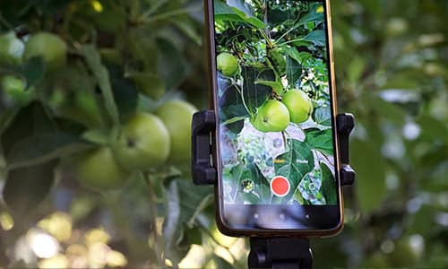 Stay Connected Even (1)