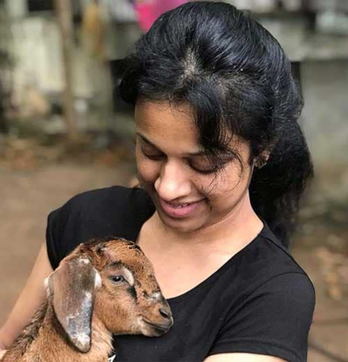 photo-at-vaksanafarm1