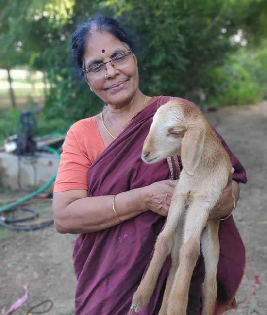 Cooking-with-Kasthuri-Amma-vaksanafarm