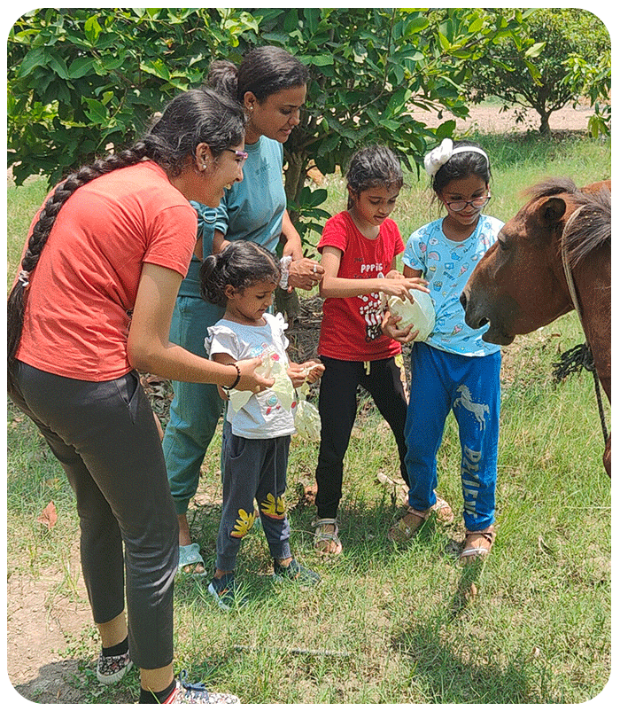 Farm Adventures & Hands-On Activities